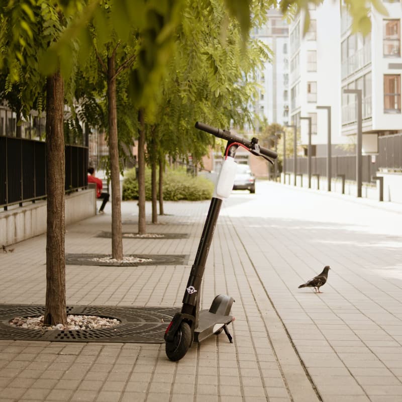 Electric Scooter